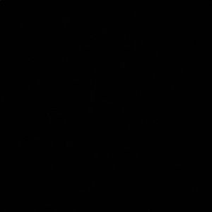 Meet your Posher, Kasey